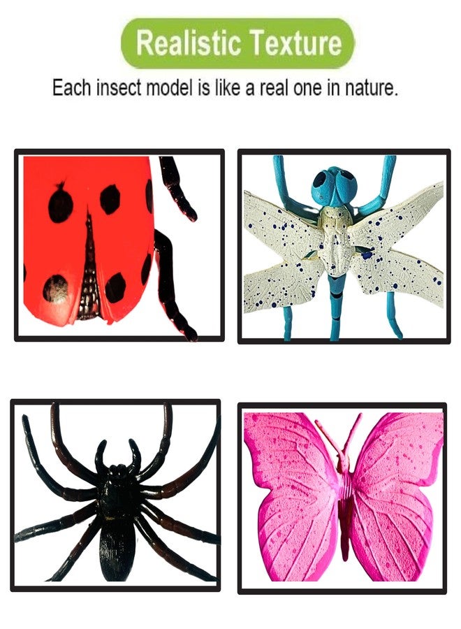 Mallexo مجموعة ألعاب حشرات واقعية من ماليكسو للأطفال، 6 قطع، مجسمات حيوانات زاحفة متوسطة الحجم للأولاد والبنات، فراشة للأطفال من عمر 3 سنوات فما فوق، أدوات للمقالب للأطفال (حشرات متوسطة الحجم) - Image 2